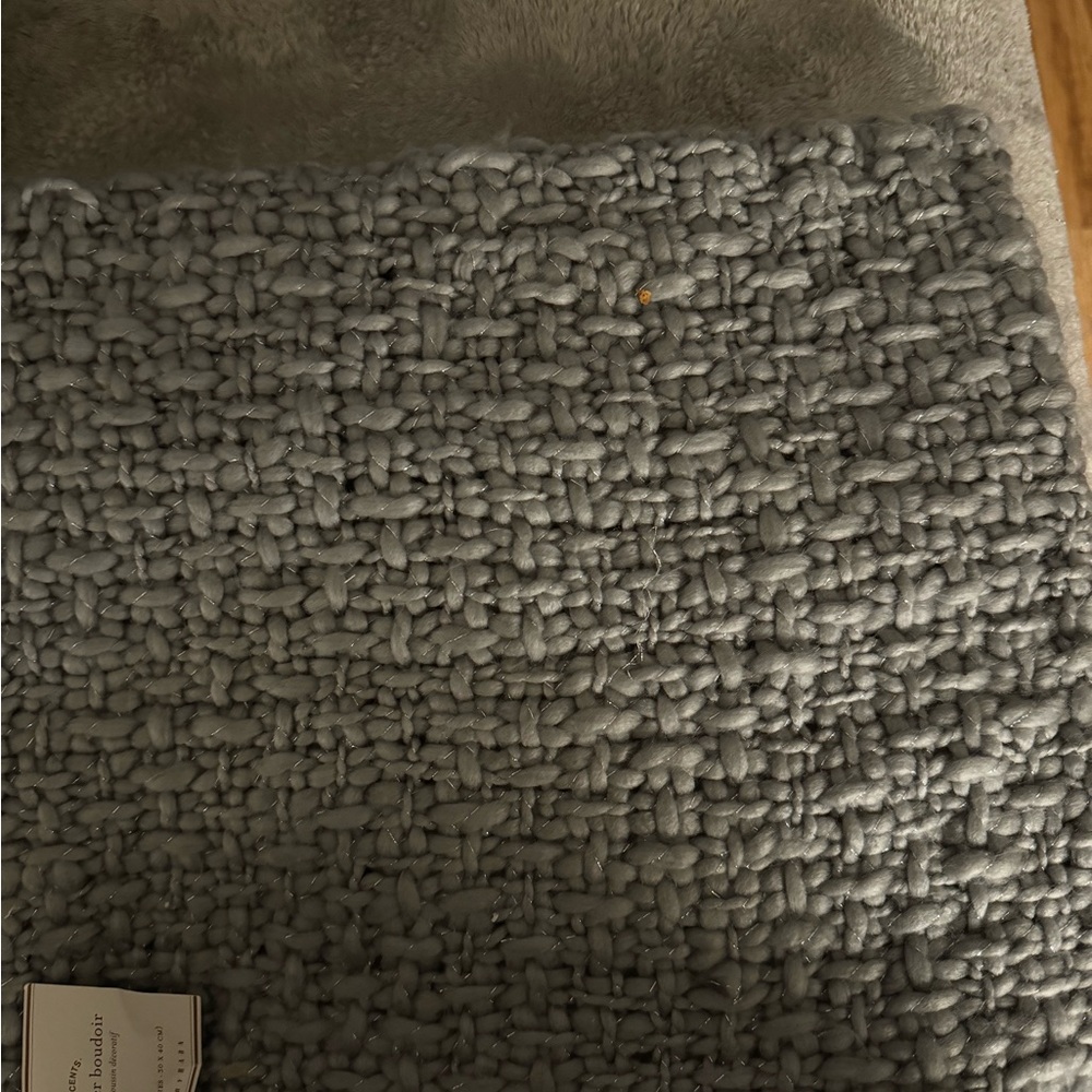 Pottery Barn Shimmer Gray pillow cover
